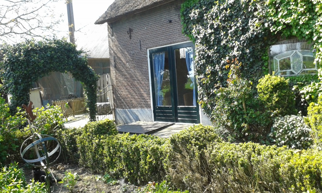 Image 1
